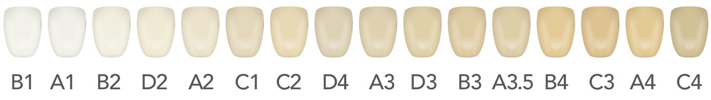 series of different teeth, going from cleanest to dirtiest, from left to right
